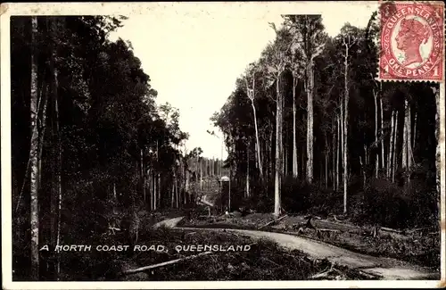 Ak Queensland Australien, A North Coast Road, Wald