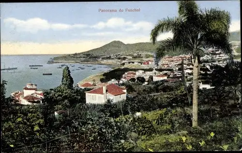 Ak Funchal Insel Madeira Portugal, Panorama
