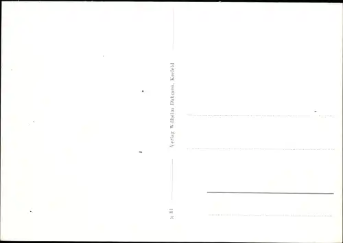 Ak Krefeld am Niederrhein, Bismarckplatz, Panorama, Denkmal, Springbrunnen