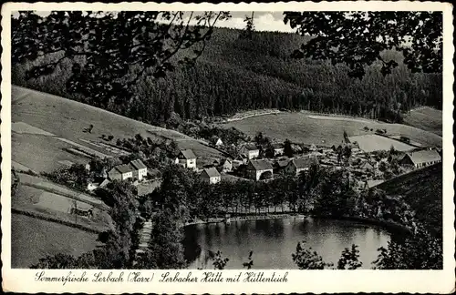 Ak Lerbach Osterode am Harz, Lerbacher Hütte mit Hüttenteich