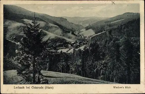 Ak Lerbach Osterode am Harz, Wiedow's Blick, Panorama