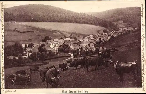 Ak Bad Grund im Harz, Panorama, Kuhweide