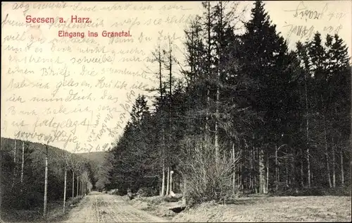 Ak Seesen am Harz, Eingang ins Granetal