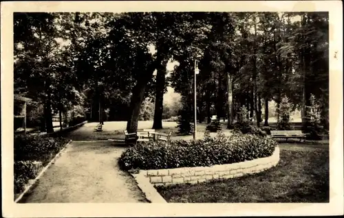 Ak Berlin Pankow, Partie im Bürgerpark