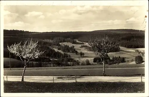 Ak Fuchsmühl in der Oberpfalz, Panorama