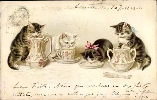 Litho Glückwunsch Geburtstag, Vier Katzen trinken aus Tasse und Teekanne