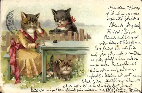 Litho Katze schreibt einen Brief, Zaun, Tintenfass