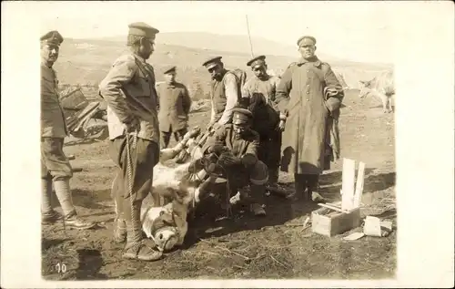 Foto Ak Deutsche Soldaten in Uniformen schlachten ein Rind