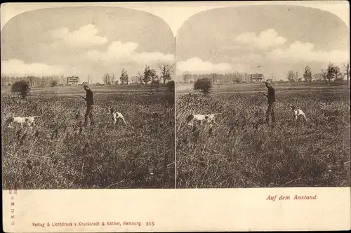 Stereo Ak Auf dem Anstand, Mann auf der Wiese, Hunde