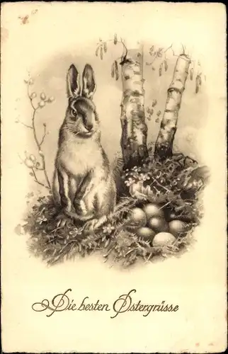 Ak Glückwunsch Ostern, Osterhase, Ostereier