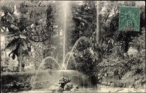 Ak Conakry Konakry Guinea, Public Garden, Springbrunnen