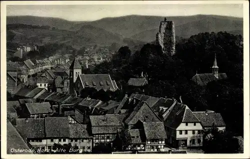 Ak Osterode am Harz, Alte Burg, Panorama