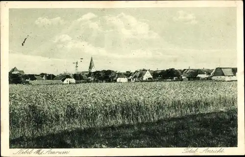 Ak Nebel auf der Insel Amrum Nordfriesland, Panorama