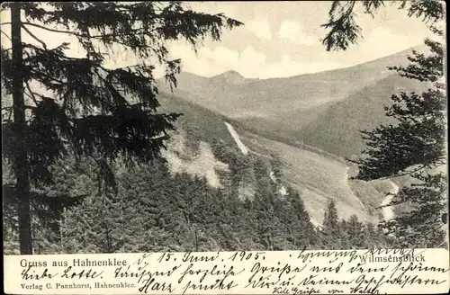 Ak Hahnenklee Bockswiese Goslar im Harz, Wilmsensblick