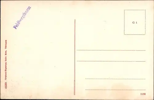 Ak Feldberg im Schwarzwald, Turm, Gasthof