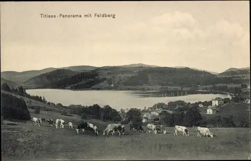 Ak Titisee Neustadt im Breisgau Hochschwarzwald, Panorama mit Feldberg