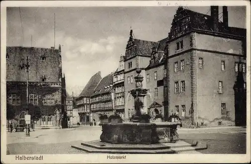 Ak Halberstadt Sachsen Anhalt, Holzmarkt, Brunnen, Rathaus