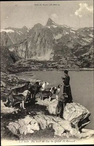 Ak St Bernard Sankt Bernhard Kanton Wallis, Au bord du Lac du Grand St. Bernhard, Jagdhunde