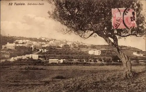 Ak Sidi Bou Said Tunesien, Panorama, Baum