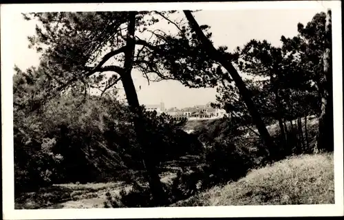 Ak Praia de S. Pedro de Moel Portugal, Sicht durch Bäume auf Stadt, Panorama