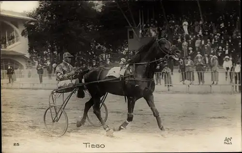 Ak Trabrennen, Pferd Tiego, Sulky, Jockey, Zuschauertribüne