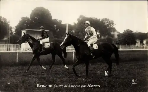 Ak Pferderennsport, Epinard monté par Haynes, Rennpferd mit Jockey