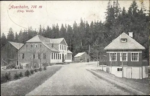 Ak Stützerbach Ilmenau Thüringer Wald, Gasthof Auerhahn