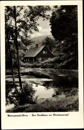 Ak Christianental Wernigerode im Harz, Forsthaus, See