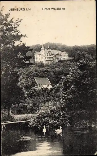 Ak Ilsenburg Harz, Hotel Waldhöhe, Teich und Umgebung