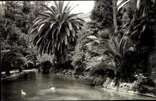 Ak Palma Mallorca Balearische Inseln, Jardines de la Alfabia, El Lago, Bucht mit Palmen