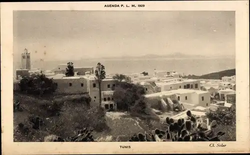 Ak Tunis Tunesien, Panorama, Sicht über Häuser auf Meer und Insel