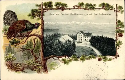 Passepartout Ak Blauen Badenweiler im Schwarzwald, Hotel und Pension Hochblauen