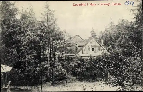 Ak Lautenthal Langelsheim im Oberharz, Hotel Prinzeß Karoline