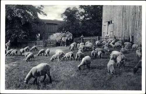 Ak Bargfeld-Stegen Kreis Stormarn, Gutshof Stegen, Alsterdorfer Anstalten, Stegener Allee 1