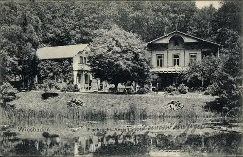 Ak Wiesbaden in Hessen, Fischzucht-Anstalt