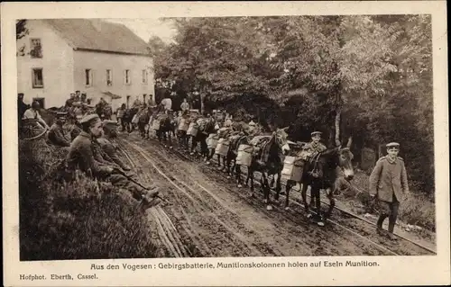 Ak Kriegsschauplatz Vogesen I. WK, Gebirgsbatterie, Munitionskolonnen holen auf Eseln Munition