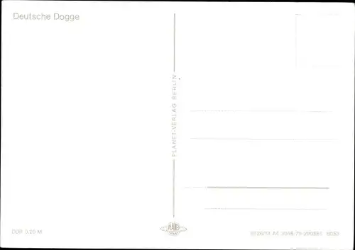 Ak Hundeportrait, Deutsche Dogge