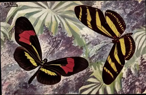 Künstler Ak Kell, Zwei bunte Schmetterlinge