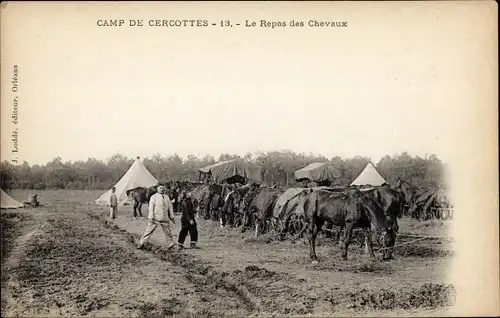Ak Cercottes Loiret, Camp de Cercottes, Le Repas de Chevaux, Pferde