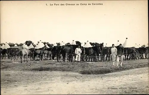 Ak Cercottes Loiret, Camp de Cercottes, Le Parc de Chevaux, Pferde