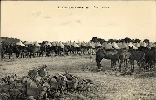Ak Cercottes Loiret, Camp de Cercottes, Pferde, Vue General