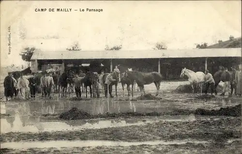 Ak Mailly le Camp Aube, Le Pansage, Pferde