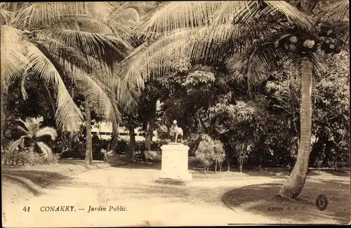 Ak Conakry Guinea, Jardin Public