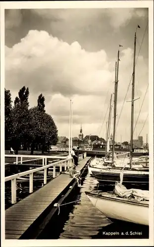 Ak Kappeln an der Schlei, Anleger, Panorama, Boote