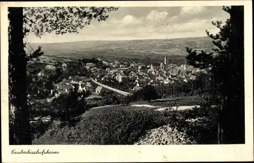 Ak Tauberbischofsheim in Baden, Panorama