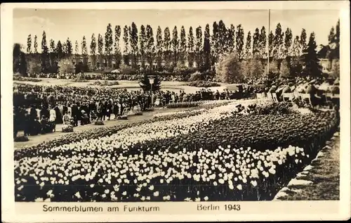 Ak Berlin Charlottenburg Westend, Sommerblumen am Funkturm, Zuschauer, 1943