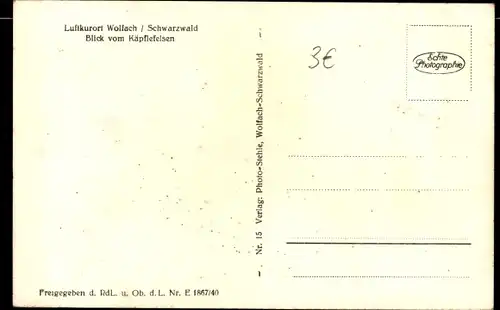 Ak Wolfach im Schwarzwald, Blick vom Käpflefelsen, Ortsansicht