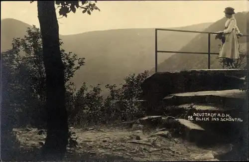 Foto Ak Neustadt an der Weinstraße, Blick ins Schöntal