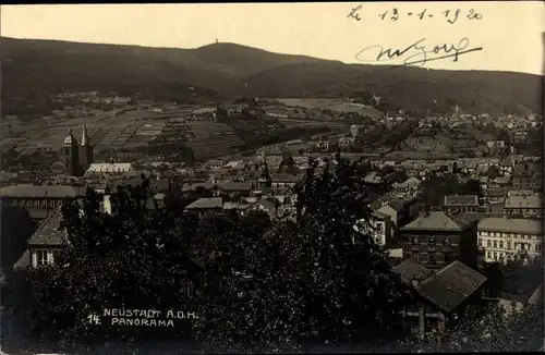 Ak Neustadt an der Weinstraße, Ortsansicht