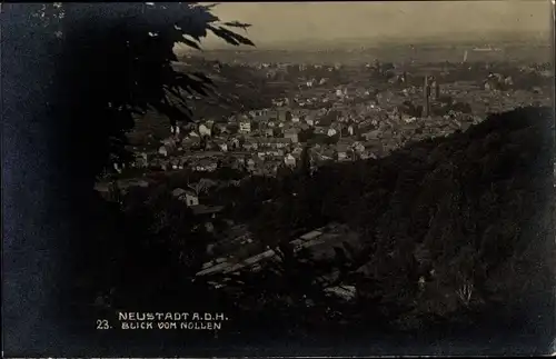 Ak Neustadt an der Weinstraße, Blick vom Nollen, Ortsansicht